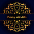Luxury mandala art background or mandala art vector