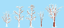 Set Of Snowed Trees For Winter Landscapes And Design Elements. Vector Illustration Isolated On Blue Background.