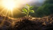 Green seedling growing from seed on blurred nature background with sun light, ai generative