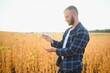 © Serhii - A young handsome farmer or agronomist examines the ripening of soybeans in the field before harvesting