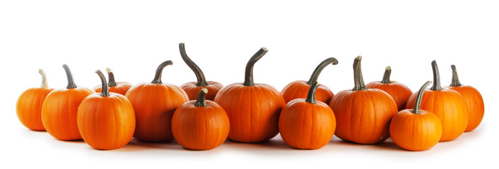 Wall Mural - Pumpkins in a row isolated on white