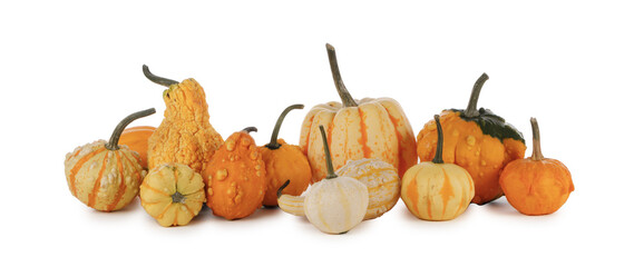 Wall Mural - Harvested pumpkins isolated on white background