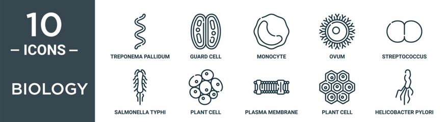 biology outline icon set includes thin line treponema pallidum, guard cell, monocyte, ovum, streptococcus, salmonella typhi, plant cell icons for report, presentation, diagram, web design