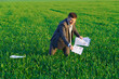 businessman lays out reports on a green grass field, the concept of work and freelancing