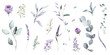 Watercolour floral illustration set. DIY violet purple blue flowers, green leaves elements collection - for bouquets, wreaths, wedding invitations, prints, fashion, birthday, postcards, greetings.