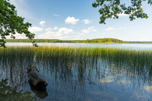 View Over Lake Mokre Near Krutyń In Poland