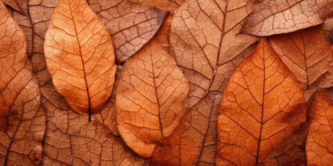 Wall Mural - Close-up autumn dry leaf textured wallpaper