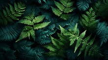 Beautiful Nature Fern Leaves Pattern Background
