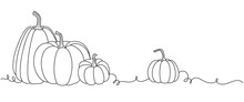 Pumpkins Line Art Style. Thanksgiving Design Element Vector