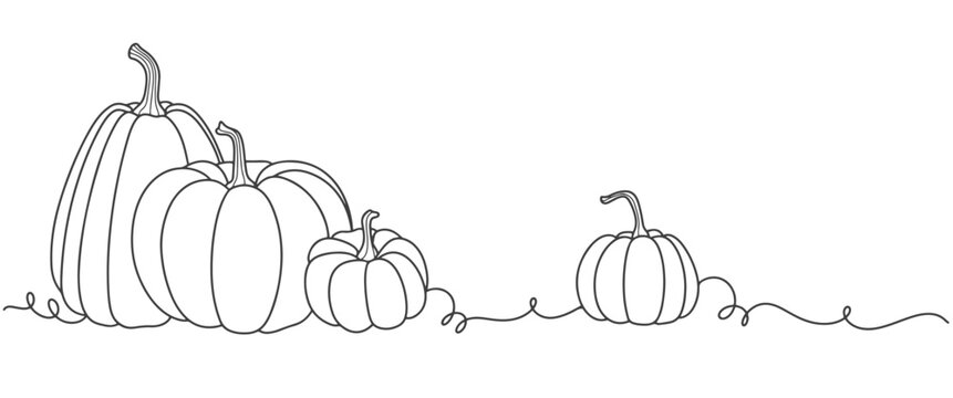 pumpkins line art style. thanksgiving design element vector