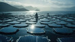 Floating Solar Panels and Fish Farms A Dual Use of Water Resources