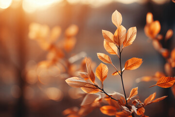 Wall Mural - Beautiful orange and golden autumn leaves against a blurry park in sunlight with beautiful bokeh.