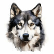 Illustration of husky dog face