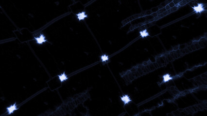 Canvas Print - luminous grid with dots and lines of energy. motion. abstract radiation bands in grid with energy. g