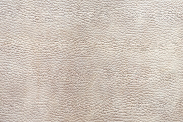 Poster - abstract leather texture. leather natural texture background for template, web banner or page