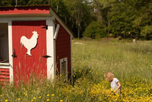 Little Girl In A Summer Field With Chicken Coop