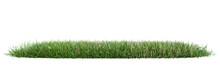 Green Grass On Transparent Background 3d Rendering Png.