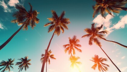 Sticker - silhouette tropical palm tree with sun light on sunset sky and cloud abstract background. Summer vacation and nature travel adventure concept. Vintage tone filter effect color style.