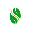 leaves green logo in the ellipse