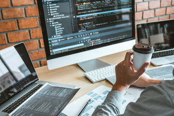 Wall Mural - developing programmer development website design and coding technologies working in software company