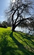 By the Waikato river in Hamilton 