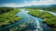 Aerial View of Green Mangrove Forest. Tropical Rain Forest Natural Scenery. with rivers and streams that form beautiful views
