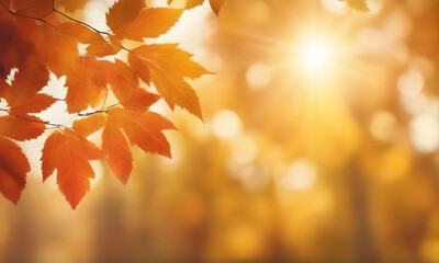 Aufkleber - Abstract autumn foliage bokeh backdrop
