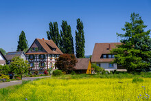 Germany, Baden-Wurttemberg, Mittelzell, Yellow Meadow In Front Of Historic Village