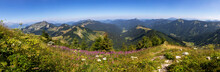 Austria, Salzburger Land, Hintersee, Drone Panorama Of Mountaintop Meadow In Summer