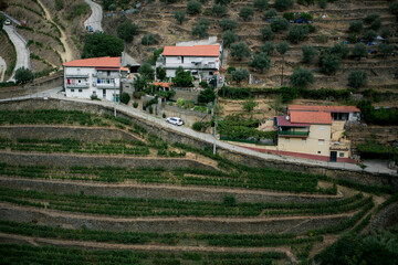 Sticker - A village and vineyard on a slope in the Douro Valley in Portugal.