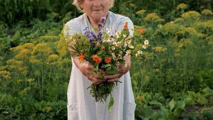 Wall Mural - Grandmother with medicinal herbs. Selective focus.