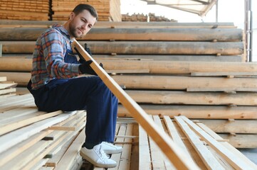 Wall Mural - Timber harvesting for construction. Carpenter stacks boards. Industrial background. Authentic workflow.