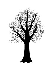 Wall Mural - Tree silhouette isolated vector