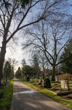 Fototapeta Sawanna - Pragfriedhof Cemetery, Stuttgart in Stuttgart-Nord, Baden-Württemberg