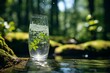Savoring natural mineral water in a forested paradise, a serene summer escape