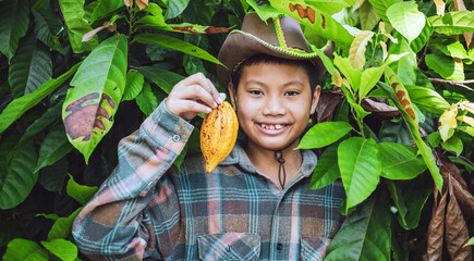 Wall Mural - Portraits of Asian boy cocoa farmer happy smiling at harvested ripe cacao pods in hand agriculture in a cocoa plantation