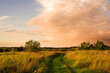 © isavira - Summer evening landscape with a bright cloudy sunset sky and a country road in a field