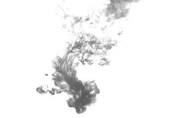 Wall Mural - Black color dye melt in water on white background,Abstract smoke pattern,Colored liquid dye,Splash paint