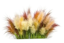 A Vibrant Garden Filled With Ornamental Pennisetum Grasses, Their Feathery Plumes In Shades Of White, Pink, And Purple.