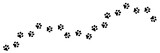 Fototapeta Pokój dzieciecy - Paw print trail. Dog, puppy, cat paw print. Paw print silhouette animal on white background.