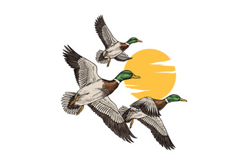 Vector Illustration Logo of three Flying Ducks, vintage colors