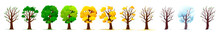 Four Season Isolated Trees Showcase Nature Beauty. Cartoon Vector Tree Blooming In Spring, Lush In Summer, Colorful In Autumn, And Bare In Winter. Changing Plant Life, Landscape Timeline