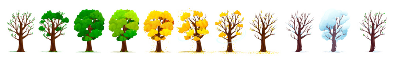 four season isolated trees showcase nature beauty. cartoon vector tree blooming in spring, lush in s