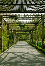 Wooden Garden Passage Way Made With Bamboo Sticks