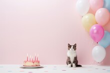 The Cat Stands Near The Cake And Balloons On The Background Of The Pink Wall