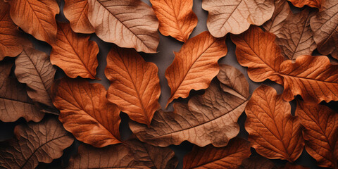 Wall Mural - Close-up autumn dry leaf textured wallpaper.