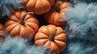 Pumpkins on pastel blue feather fabric texture, top down view. Pastel image of a sleek and modern pumpkin arrangement set against a delicacy backdrop.
