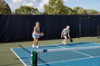 © pics721 - Male Pickleball Player Returns Ball