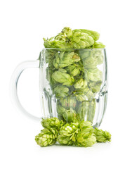 Sticker - Green hops crop in beer glass isolated on white background.