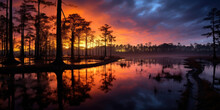The Everglades, Florida. Sunset, Sunrise, Dusk, Twilight Swamp. Flooded Landscape. Rural Lake, Creek, Swamp.